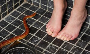 Coping Strategies for Managing Phobias
